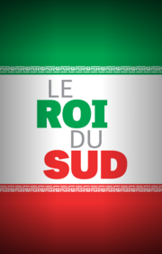 Le roi du sud