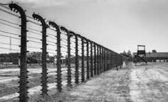 L'esprit de l'Holocauste est ranimé en Allemagne