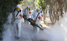 La crise du coronavirus change l'Allemagne
