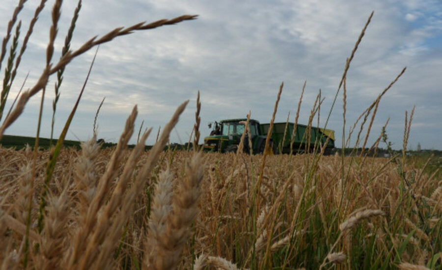 Aux Pays-Bas, les agriculteurs réagissent aux politiques destructrices