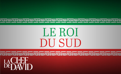 Le roi du sud