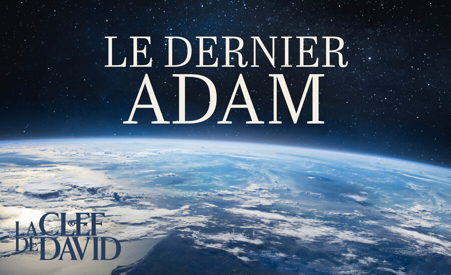 Le dernier Adam