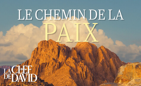 Le chemin de la paix