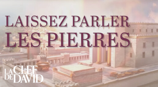 Laissez parler les pierres (2024)