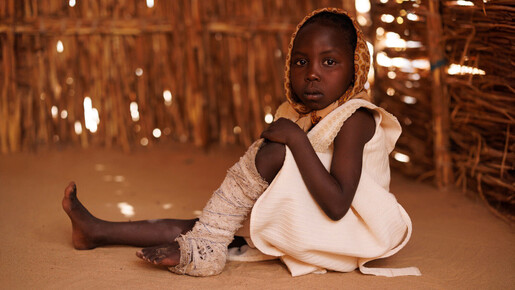 Ce à quoi ressemble un génocide