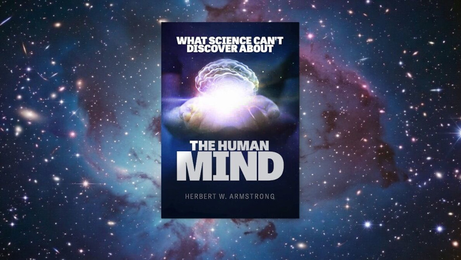 🤖 Les experts en IA sonnent l'alarme