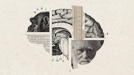 Un vrai chrétien ne peut pas croire à l'évolution