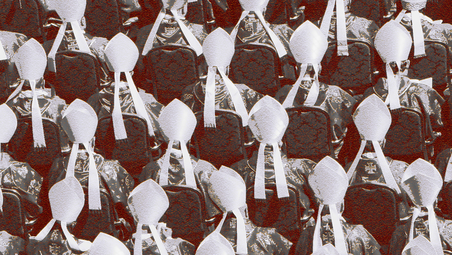 Les évêques américains se mobilisent pour défendre le pape