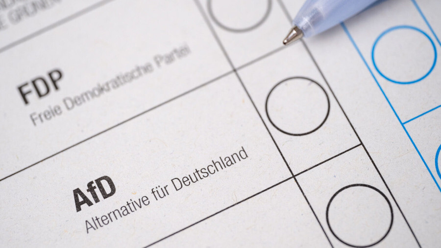 L'extrême droite domine la politique allemande