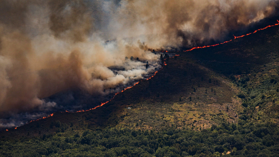 Incendies de forêt : 320 000 personnes évacuées en France et en Espagne