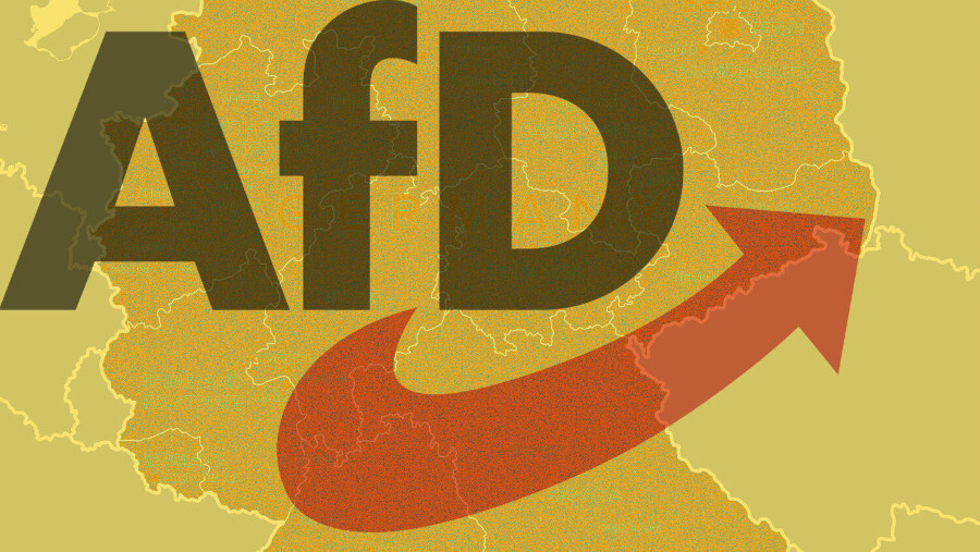 L'AfD, un danger pour les projets militaires allemands ?